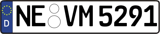 NE-VM5291