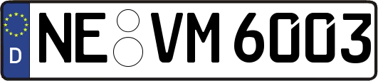 NE-VM6003