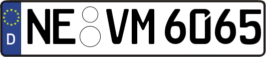 NE-VM6065