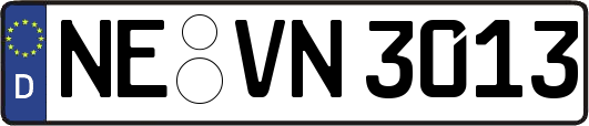 NE-VN3013
