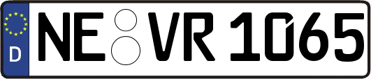 NE-VR1065