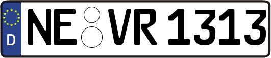 NE-VR1313