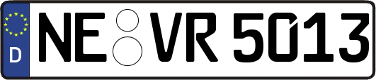 NE-VR5013