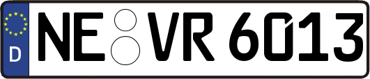 NE-VR6013