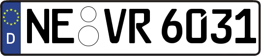 NE-VR6031