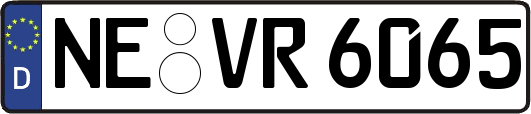 NE-VR6065