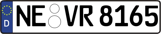 NE-VR8165