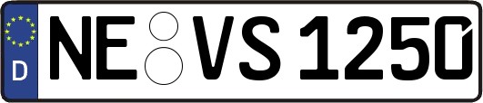 NE-VS1250