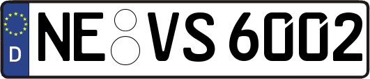 NE-VS6002