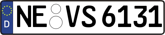 NE-VS6131