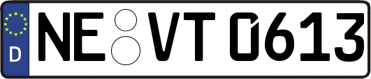 NE-VT0613