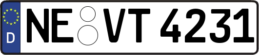 NE-VT4231
