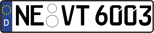NE-VT6003