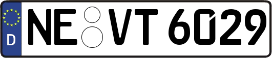 NE-VT6029