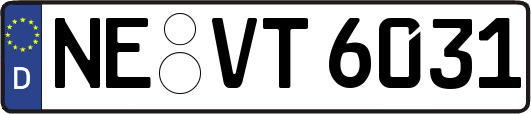 NE-VT6031