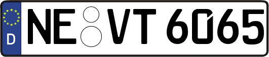 NE-VT6065