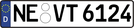NE-VT6124