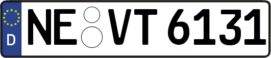 NE-VT6131