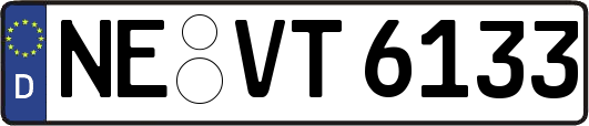 NE-VT6133