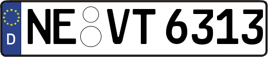 NE-VT6313