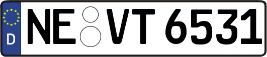 NE-VT6531