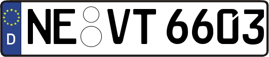 NE-VT6603