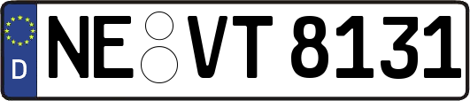 NE-VT8131