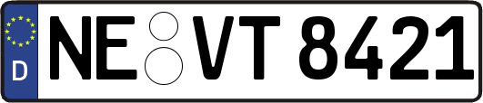 NE-VT8421