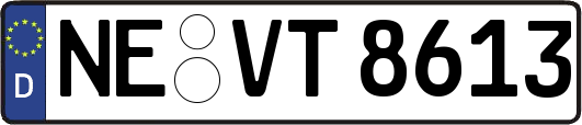 NE-VT8613