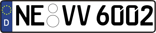 NE-VV6002