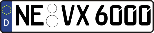 NE-VX6000