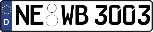 NE-WB3003