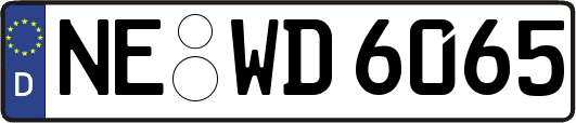 NE-WD6065