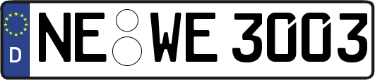 NE-WE3003