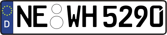 NE-WH5290