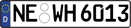 NE-WH6013