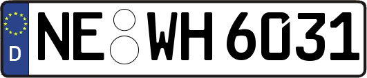 NE-WH6031