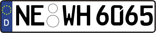 NE-WH6065