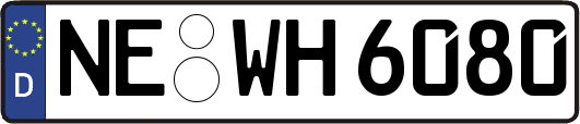 NE-WH6080