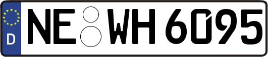 NE-WH6095