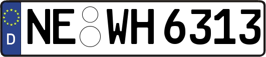 NE-WH6313