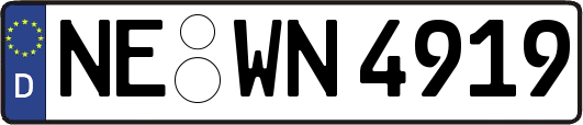 NE-WN4919