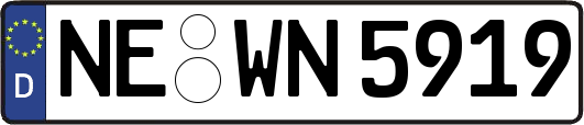 NE-WN5919