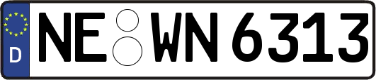 NE-WN6313