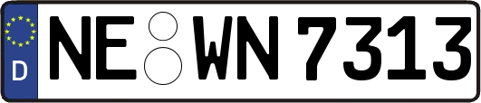 NE-WN7313