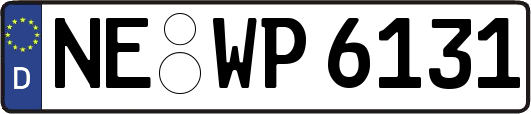 NE-WP6131