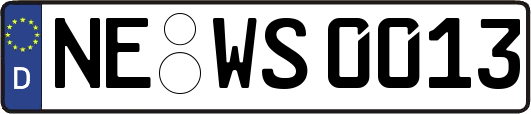NE-WS0013