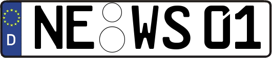 NE-WS01