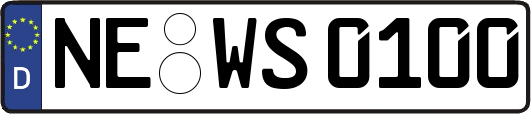 NE-WS0100