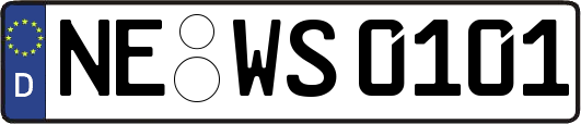 NE-WS0101